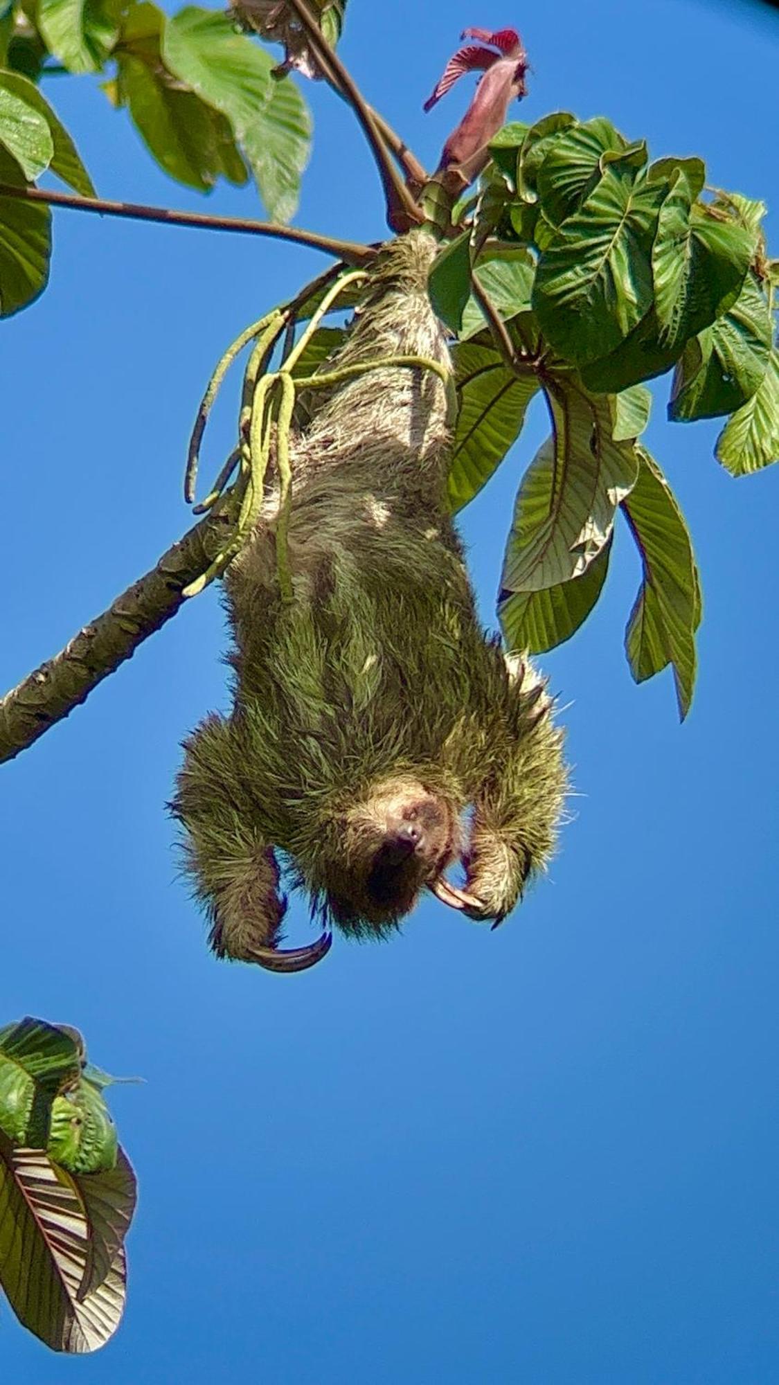 Arenal Monara Hotel La Fortuna ภายนอก รูปภาพ